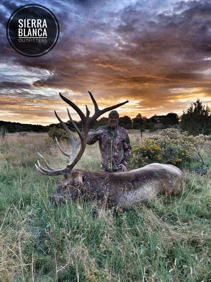 Trophy New Mexico Elk New Mexico Elk Hunting Photos